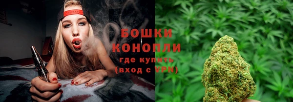 шишки Алексеевка