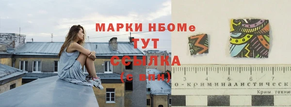 PSILOCYBIN Алзамай