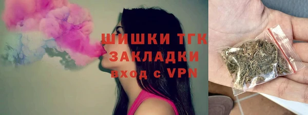 PSILOCYBIN Алзамай