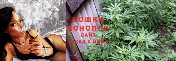 PSILOCYBIN Алзамай