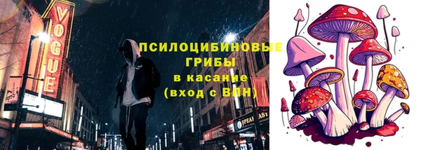 шишки Алексеевка