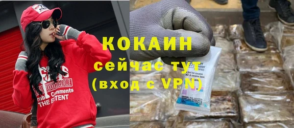 дживик Алексин