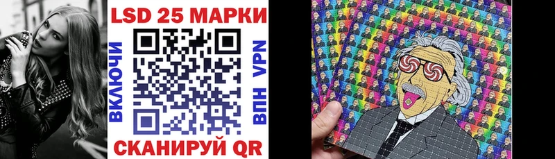 дарнет шоп  Камбарка  Марки NBOMe 1500мкг 