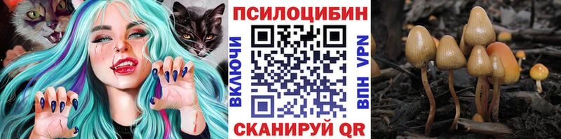 Псилоцибиновые грибы GOLDEN TEACHER  купить   Камбарка 